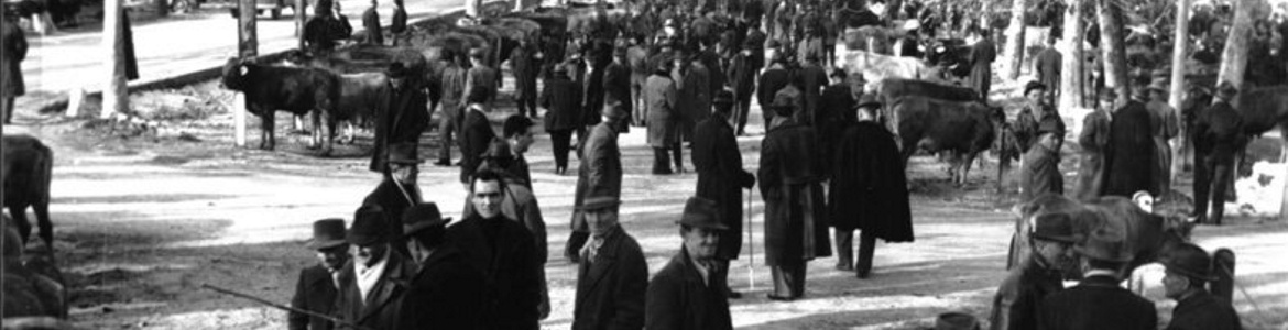 Mengozzi Carni srl - Un’origine lontana e ben saldata nel tempo